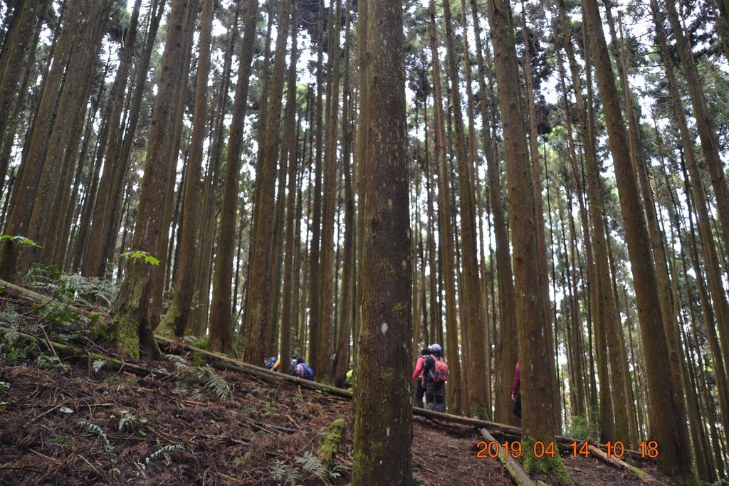DSC_0054 DSC_0054