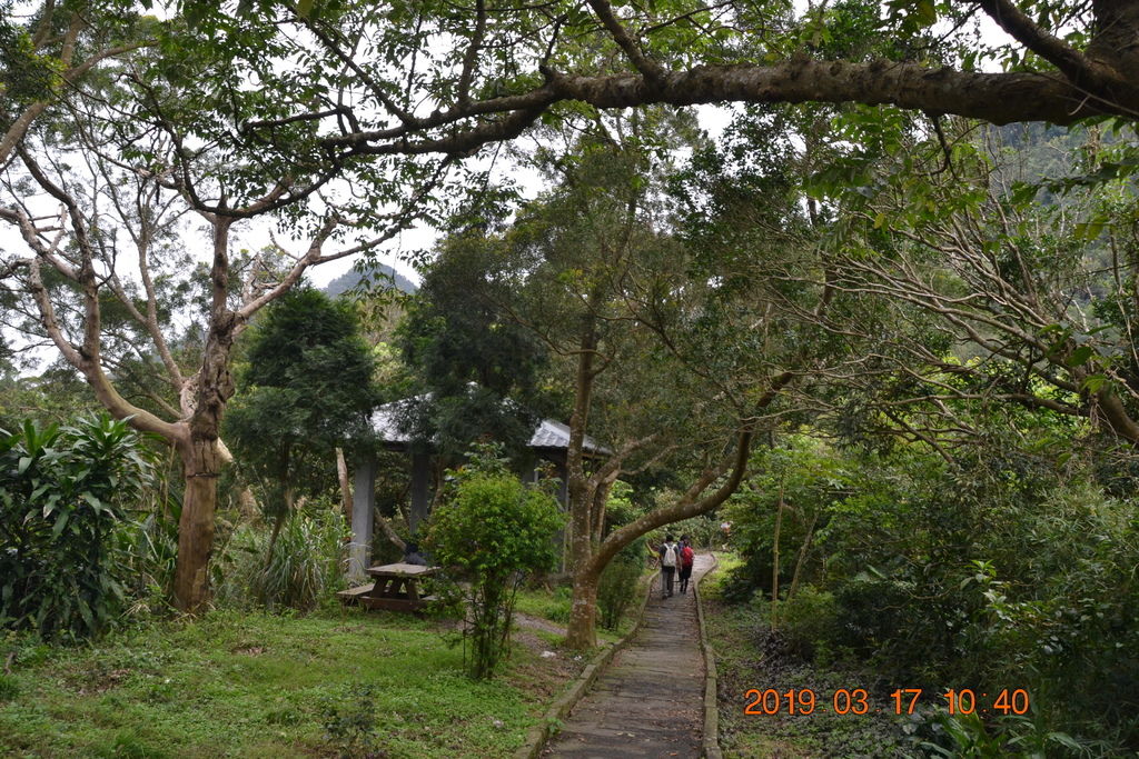 DSC_0115 DSC_0115
