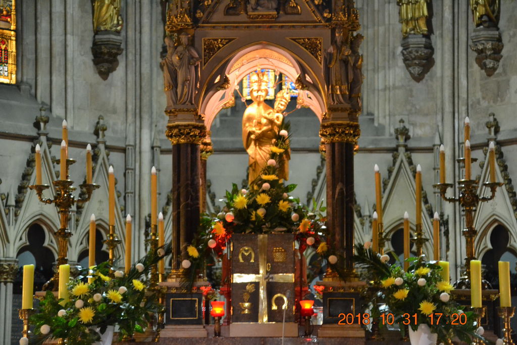 DSC_0610 DSC_0610