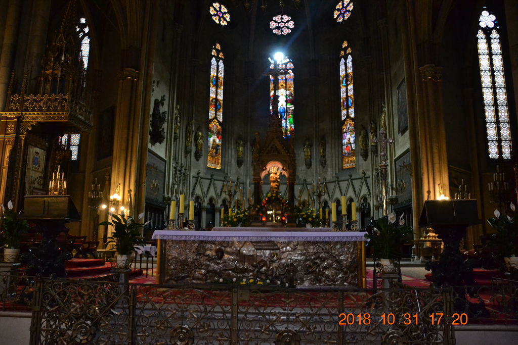 DSC_0609 DSC_0609