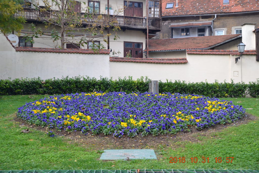 DSC_0577 DSC_0577