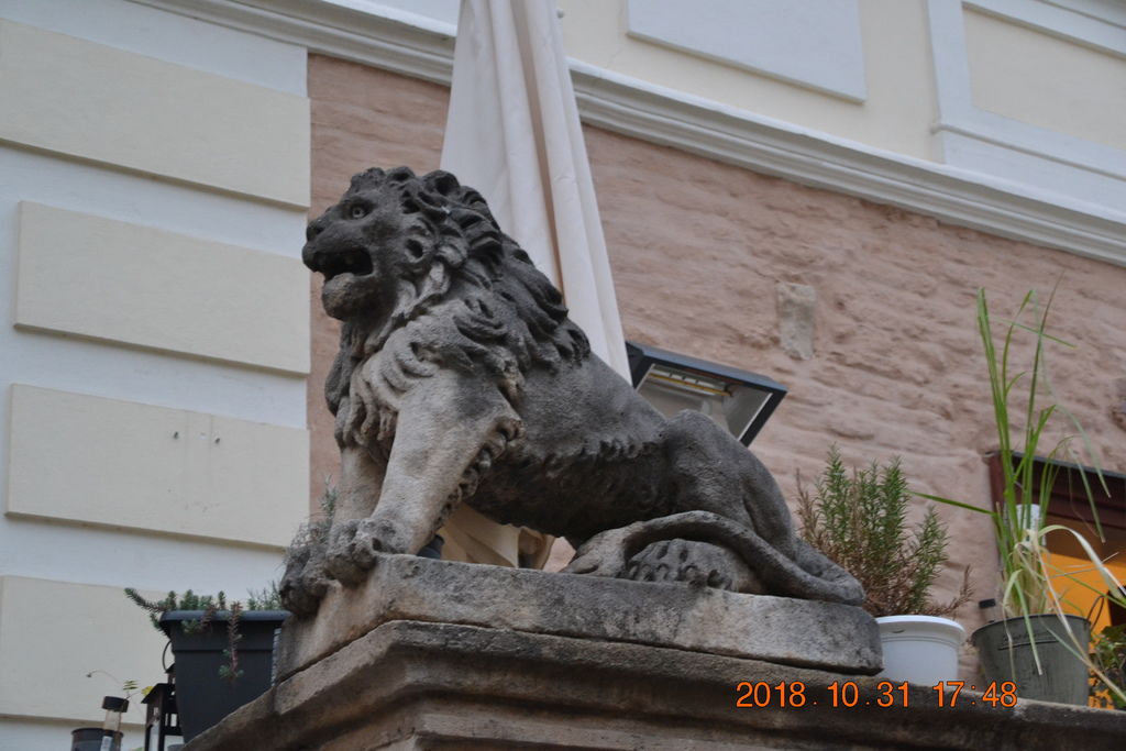 DSC_0649 DSC_0649