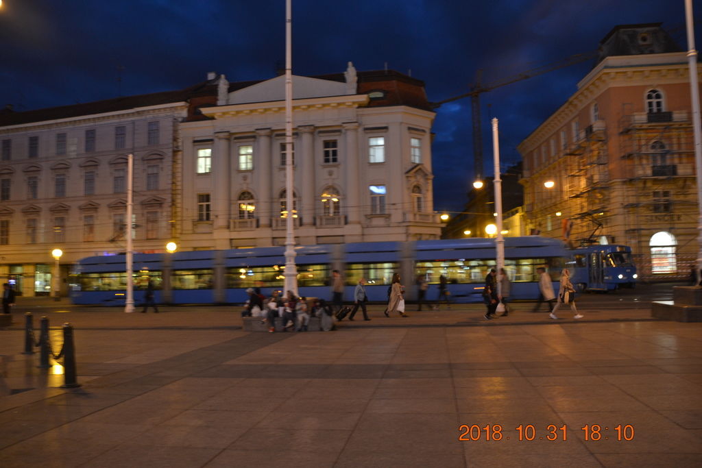 DSC_0686 DSC_0686