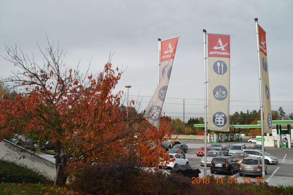 DSC_0764 DSC_0764