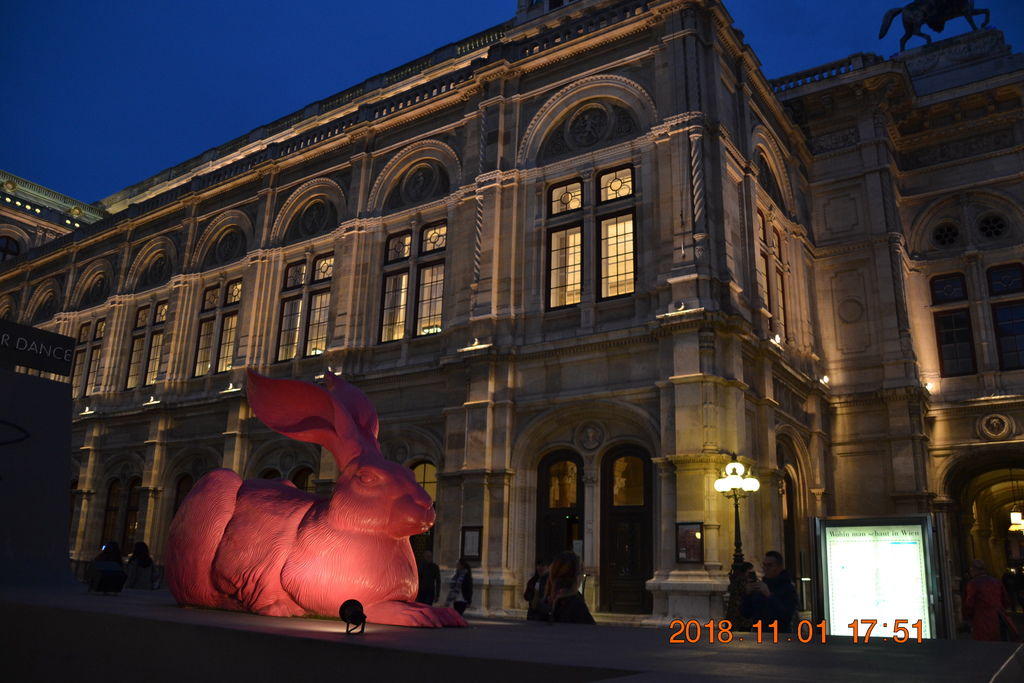 DSC_0927 DSC_0927
