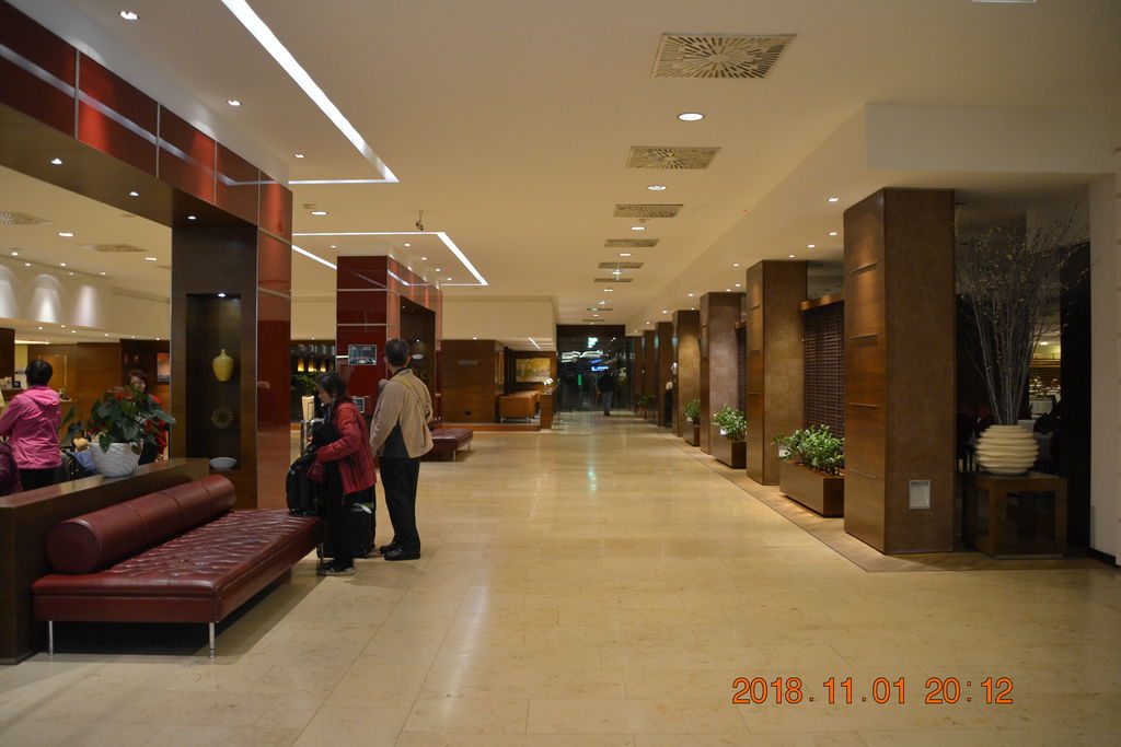 DSC_0975 DSC_0975