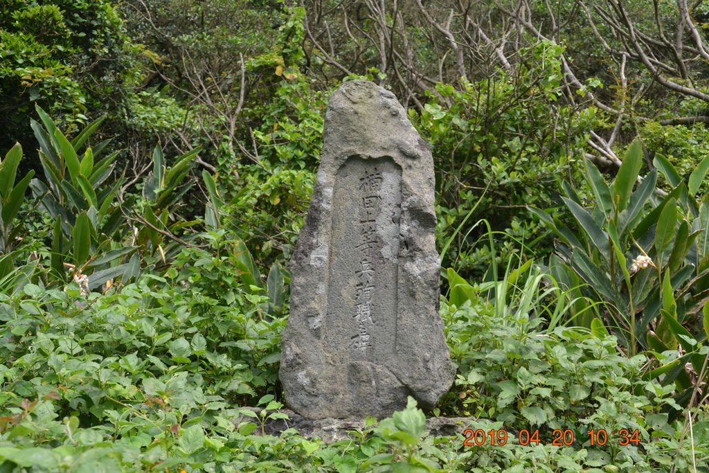 DSC_0231 DSC_0231