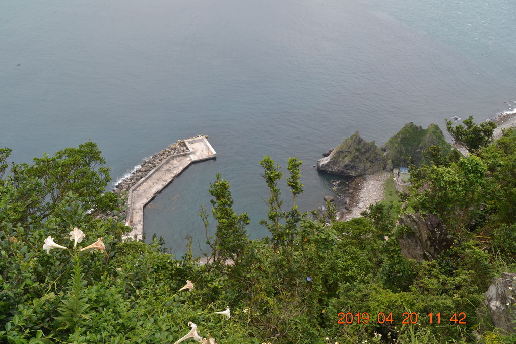 DSC_0311 DSC_0311
