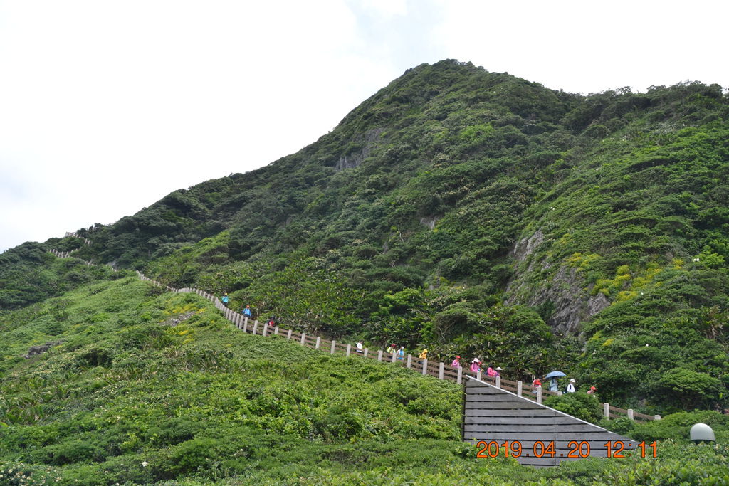 DSC_0324 DSC_0324
