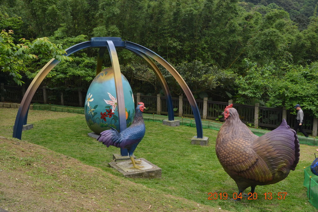 DSC_0406 DSC_0406