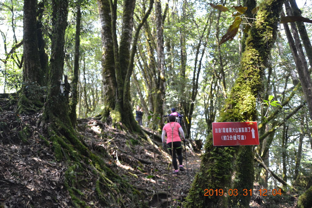DSC_0159 DSC_0159