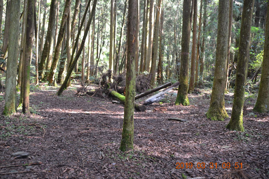 DSC_0106 DSC_0106