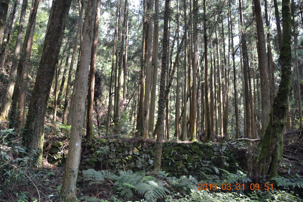 DSC_0105 DSC_0105