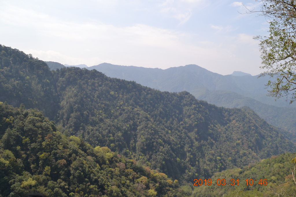 DSC_0125 DSC_0125