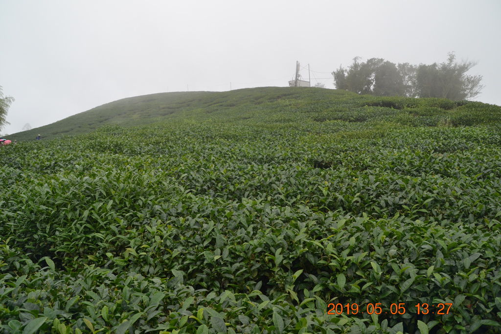 DSC_0169 DSC_0169
