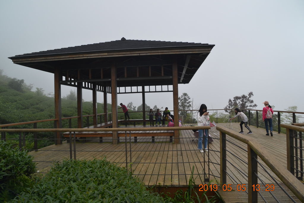 DSC_0173 DSC_0173