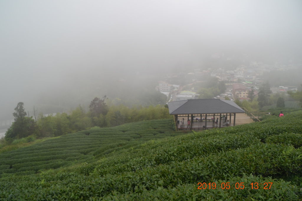 DSC_0172 DSC_0172