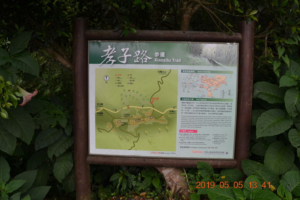 DSC_0175 DSC_0175