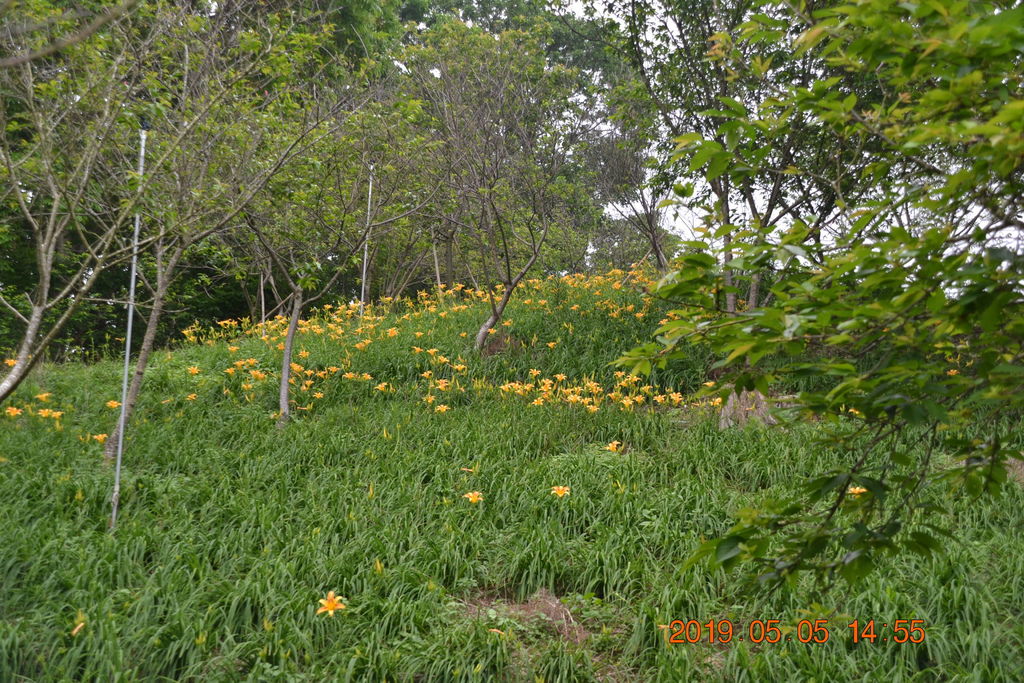 DSC_0185 DSC_0185