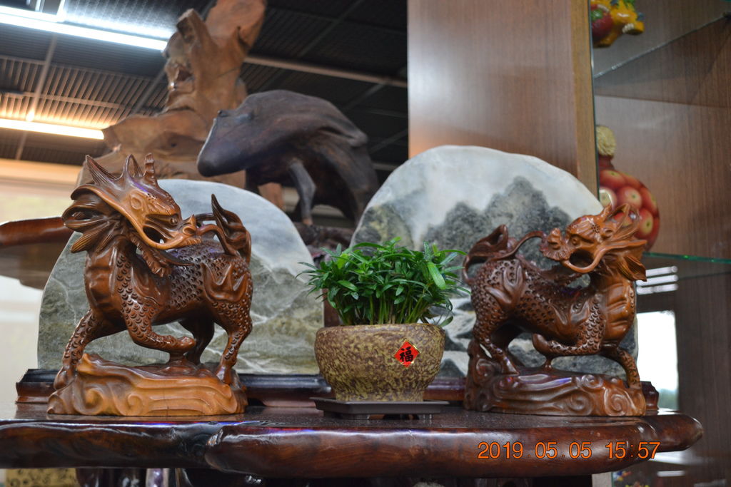 DSC_0231 DSC_0231