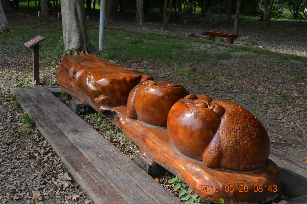 DSC_0055 DSC_0055