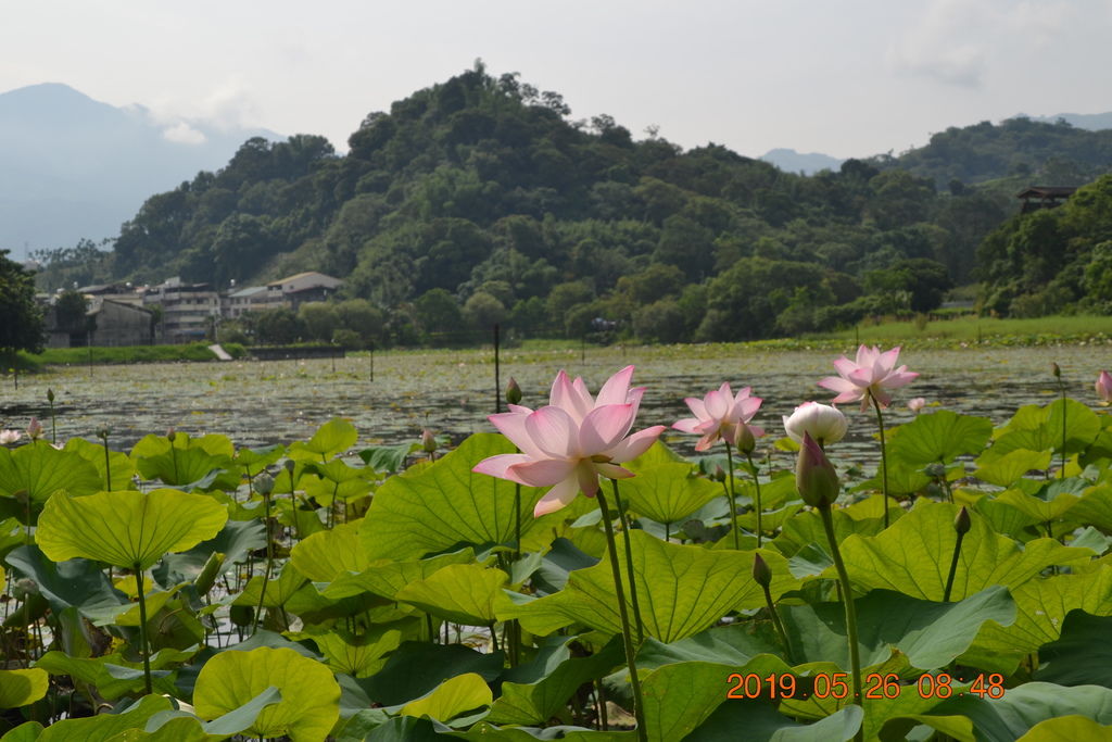 DSC_0068 DSC_0068