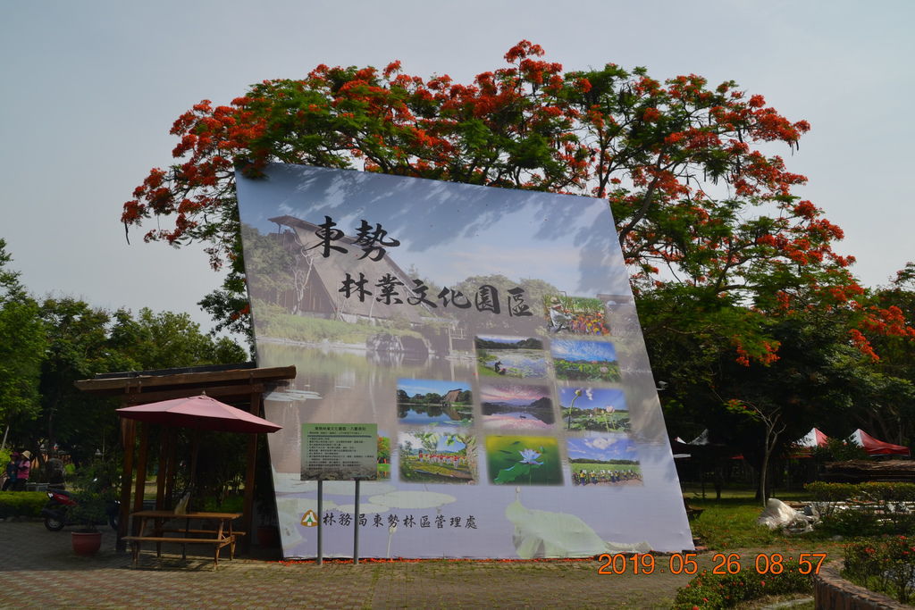 DSC_0085 DSC_0085