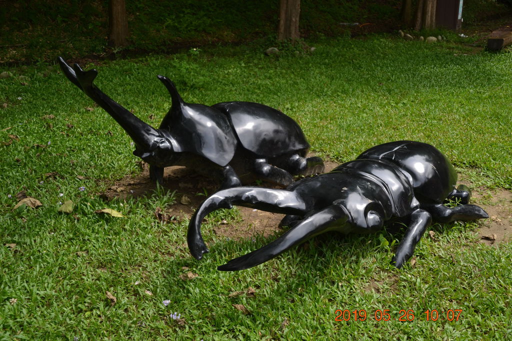 DSC_0114 DSC_0114