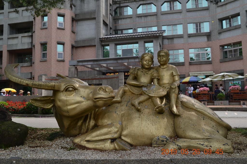 DSC_0095 DSC_0095