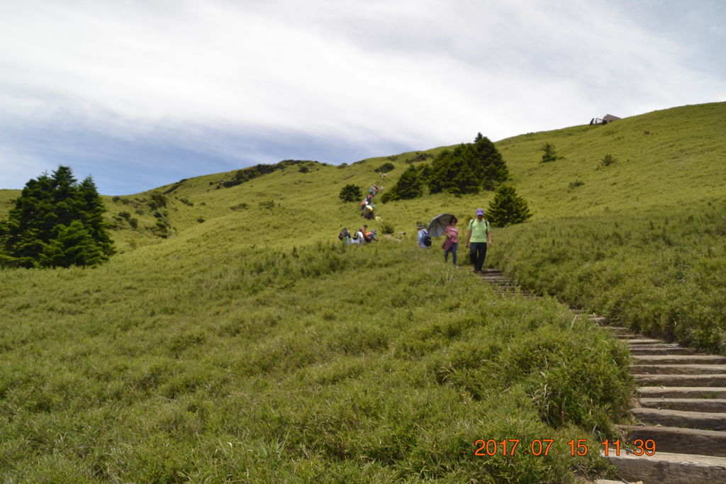 DSC_0087 DSC_0087