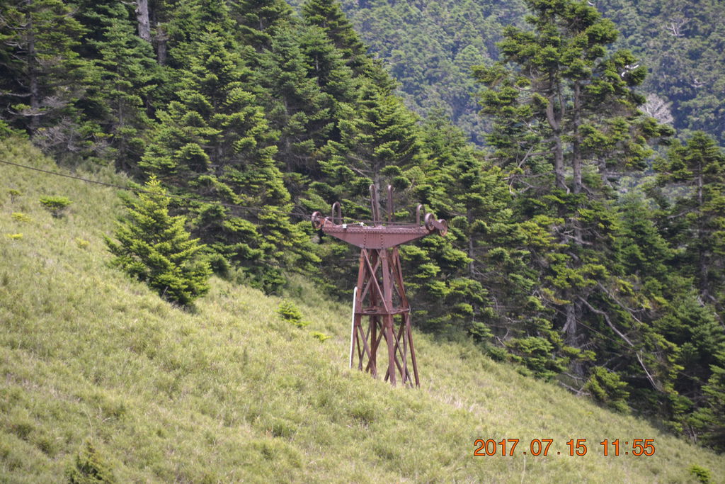 DSC_0113 DSC_0113