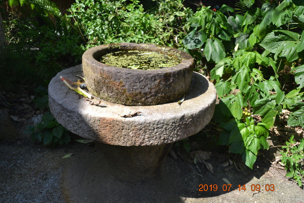 DSC_0017 DSC_0017