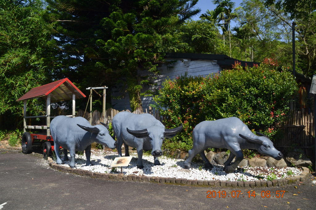 DSC_0004 DSC_0004