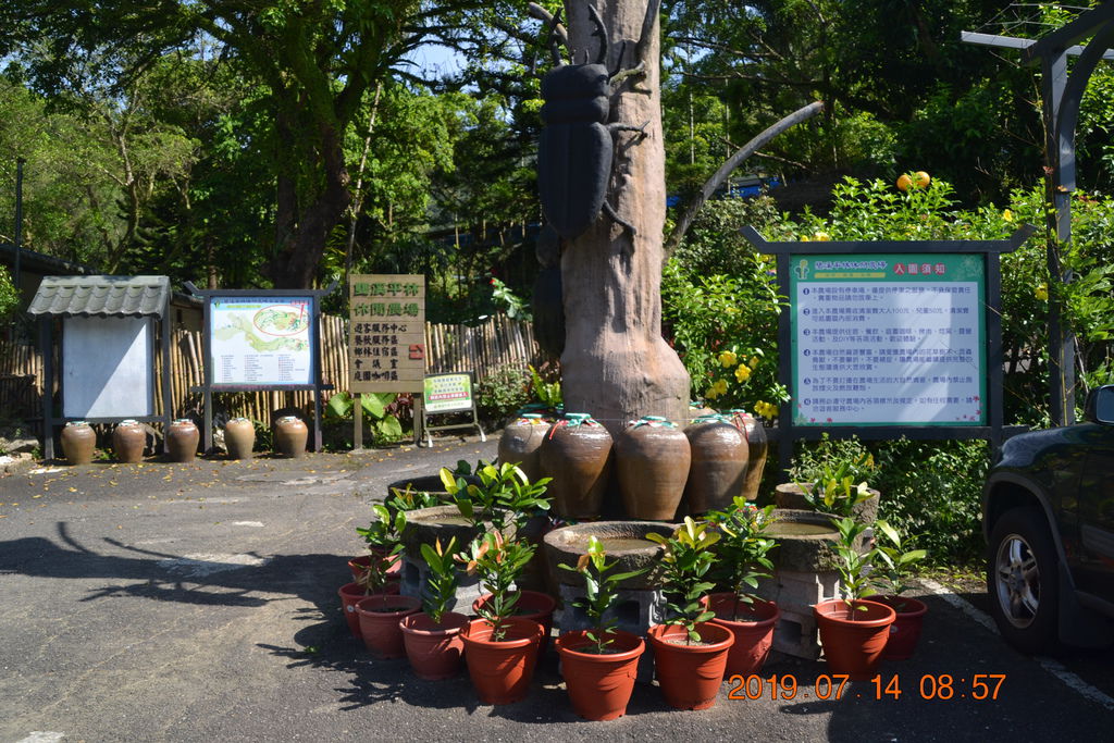 DSC_0005 DSC_0005