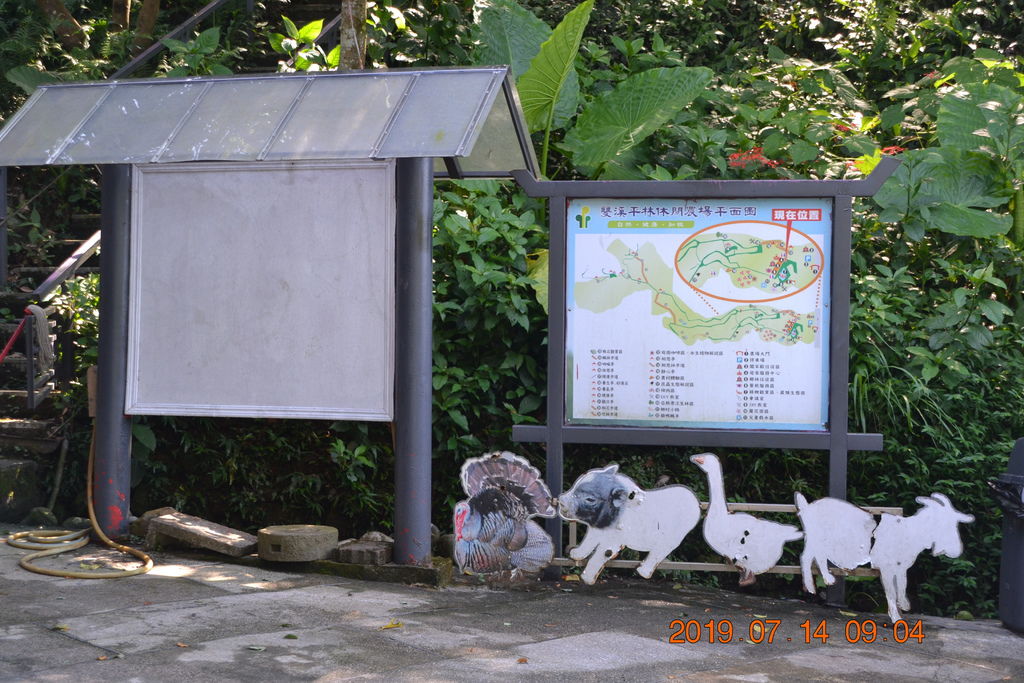 DSC_0019 DSC_0019