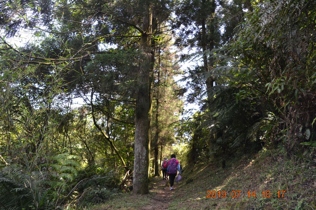 DSC_0067 DSC_0067