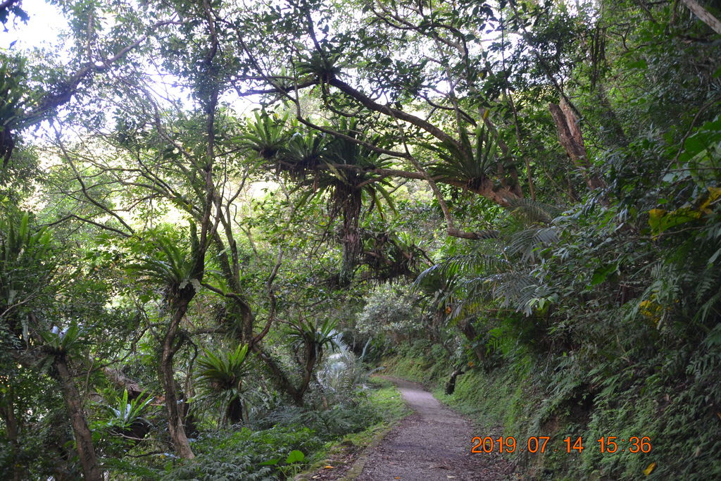 DSC_0185 DSC_0185