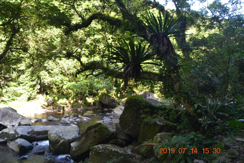 DSC_0183 DSC_0183