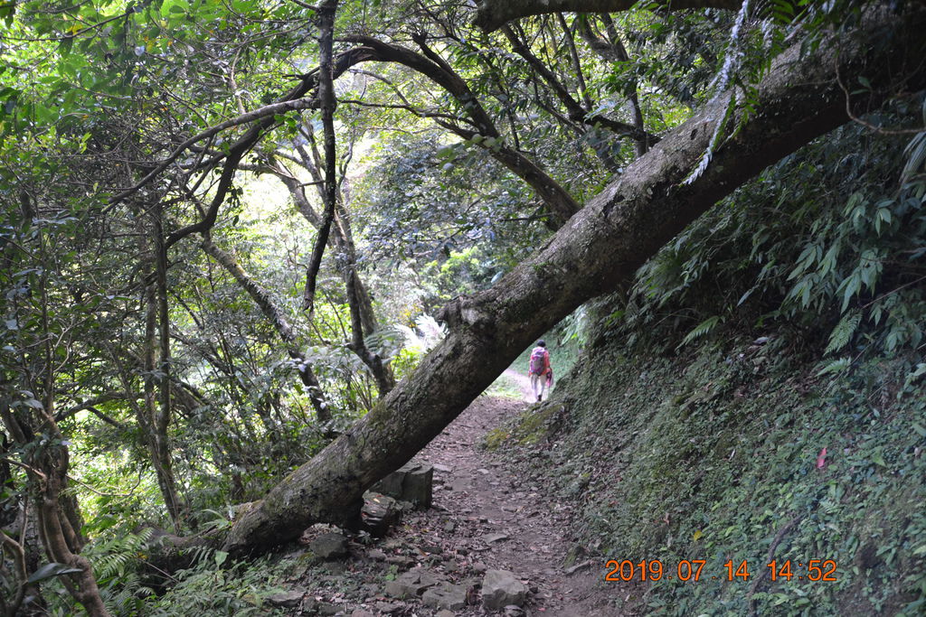 DSC_0181 DSC_0181