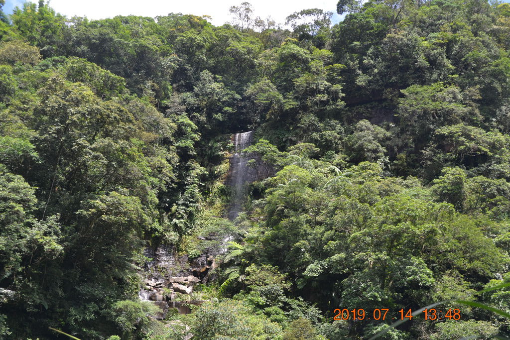 DSC_0165 DSC_0165