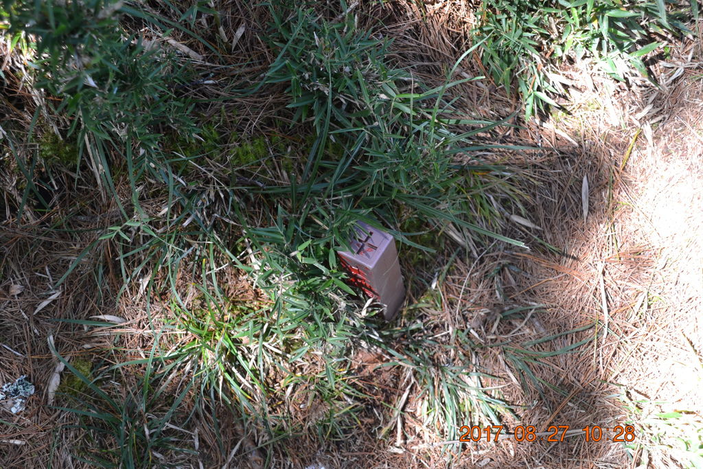 DSC_0047 DSC_0047
