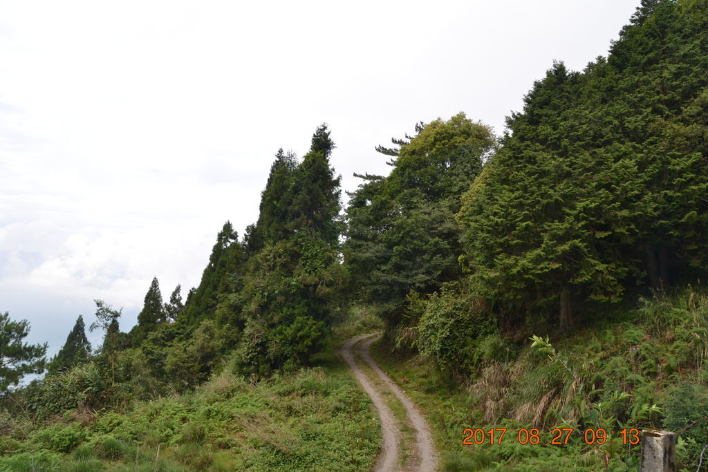 DSC_0013 DSC_0013