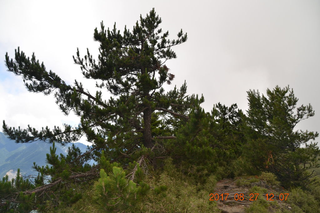 DSC_0123 DSC_0123