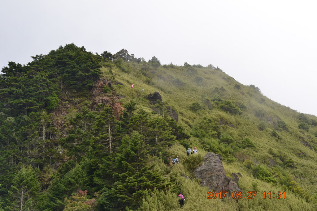 DSC_0101 DSC_0101