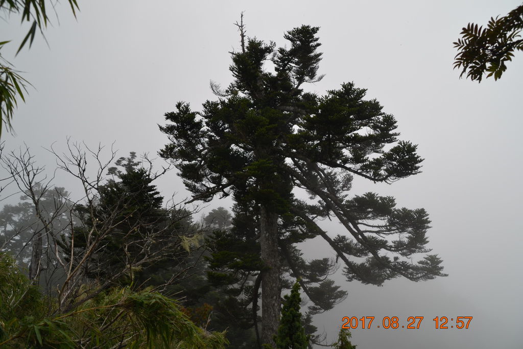 DSC_0148 DSC_0148