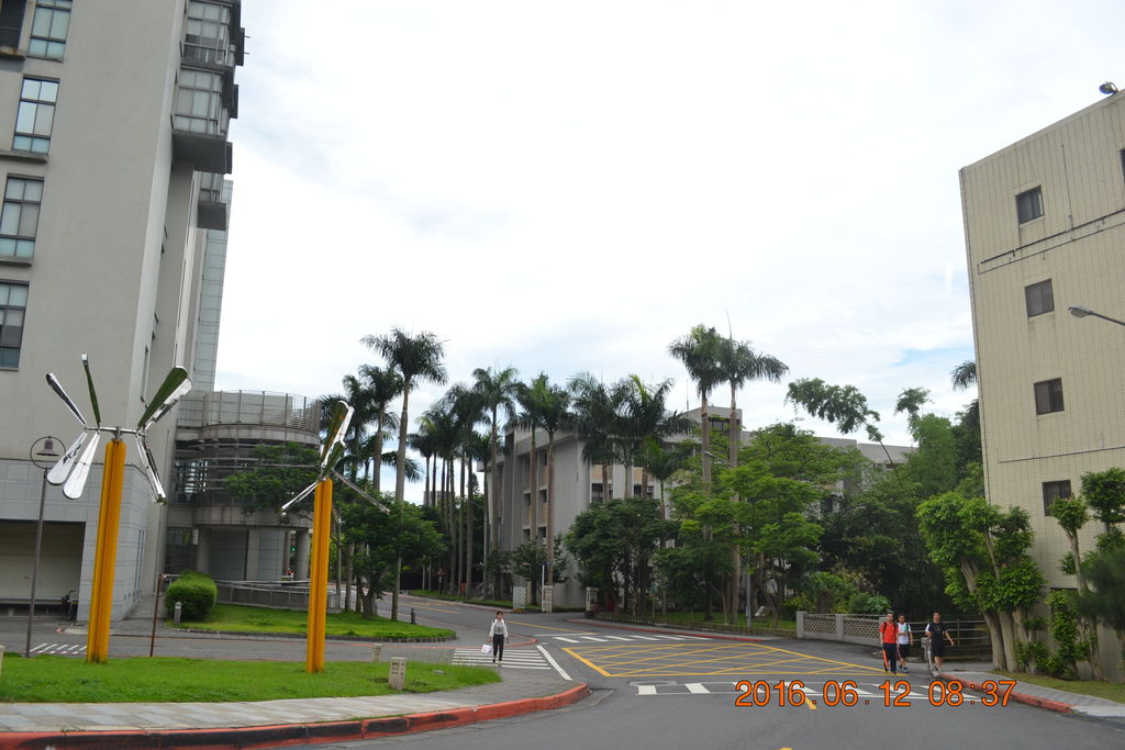 DSC_0010 DSC_0010
