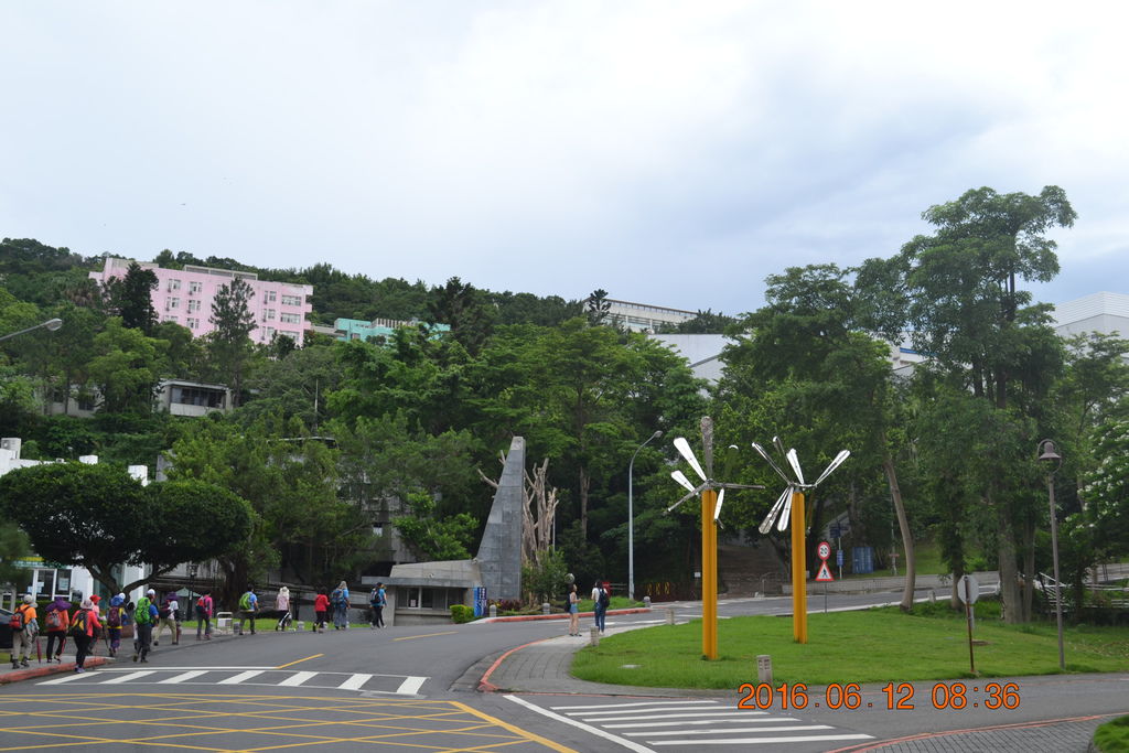 DSC_0008 DSC_0008