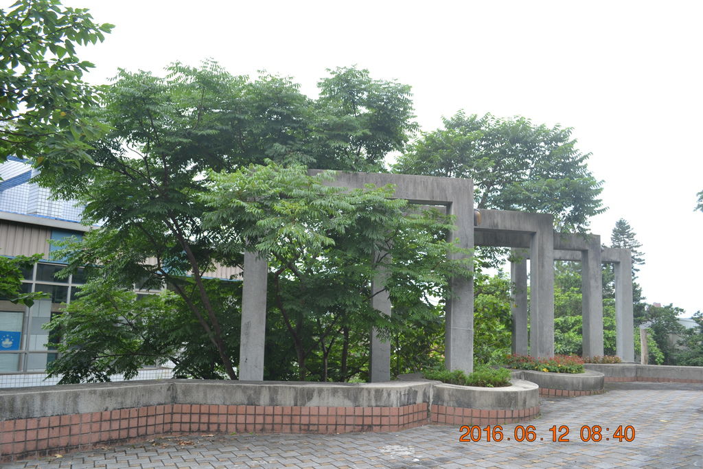 DSC_0011 DSC_0011