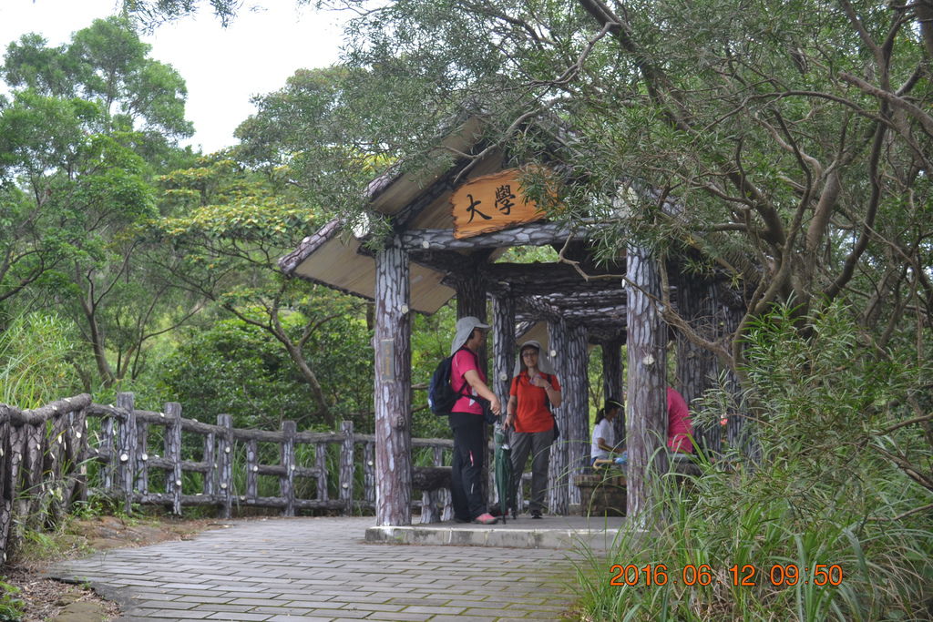 DSC_0057 DSC_0057