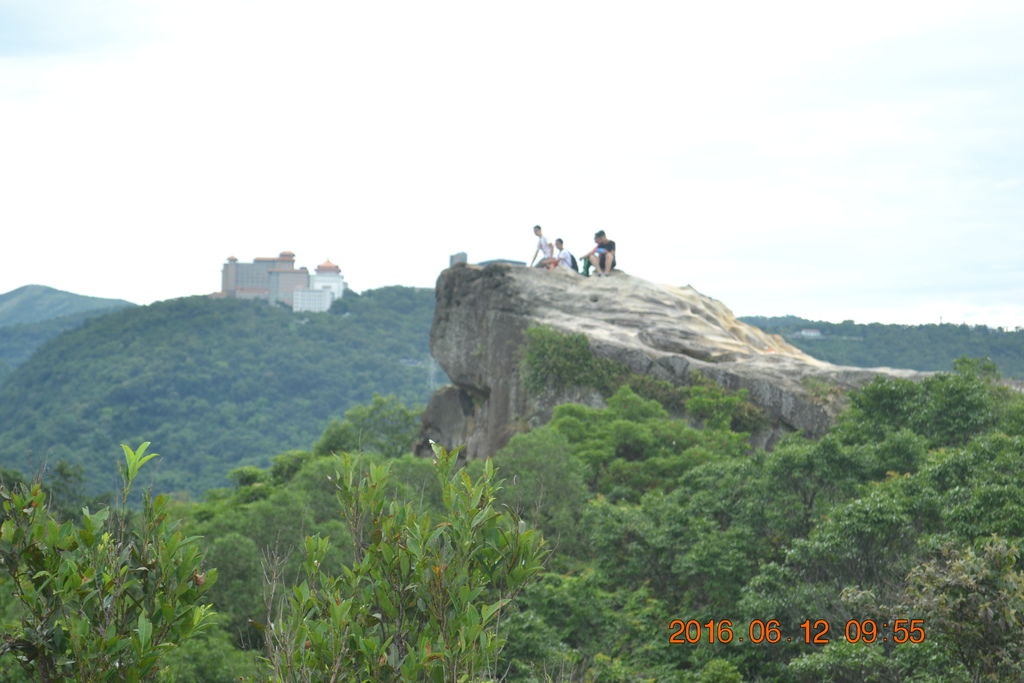 DSC_0062 DSC_0062